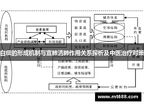 白痰的形成机制与宣肺清肺作用关系探析及中医治疗对策