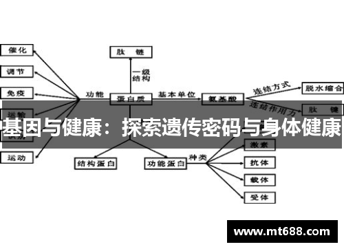 基因与健康：探索遗传密码与身体健康